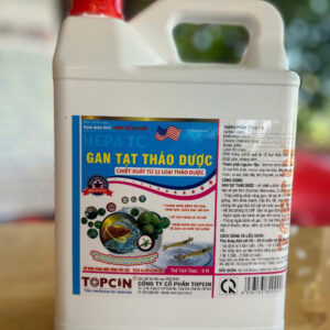 gan tạt