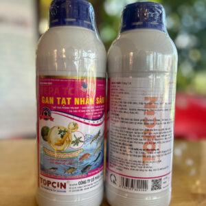 gan tạt